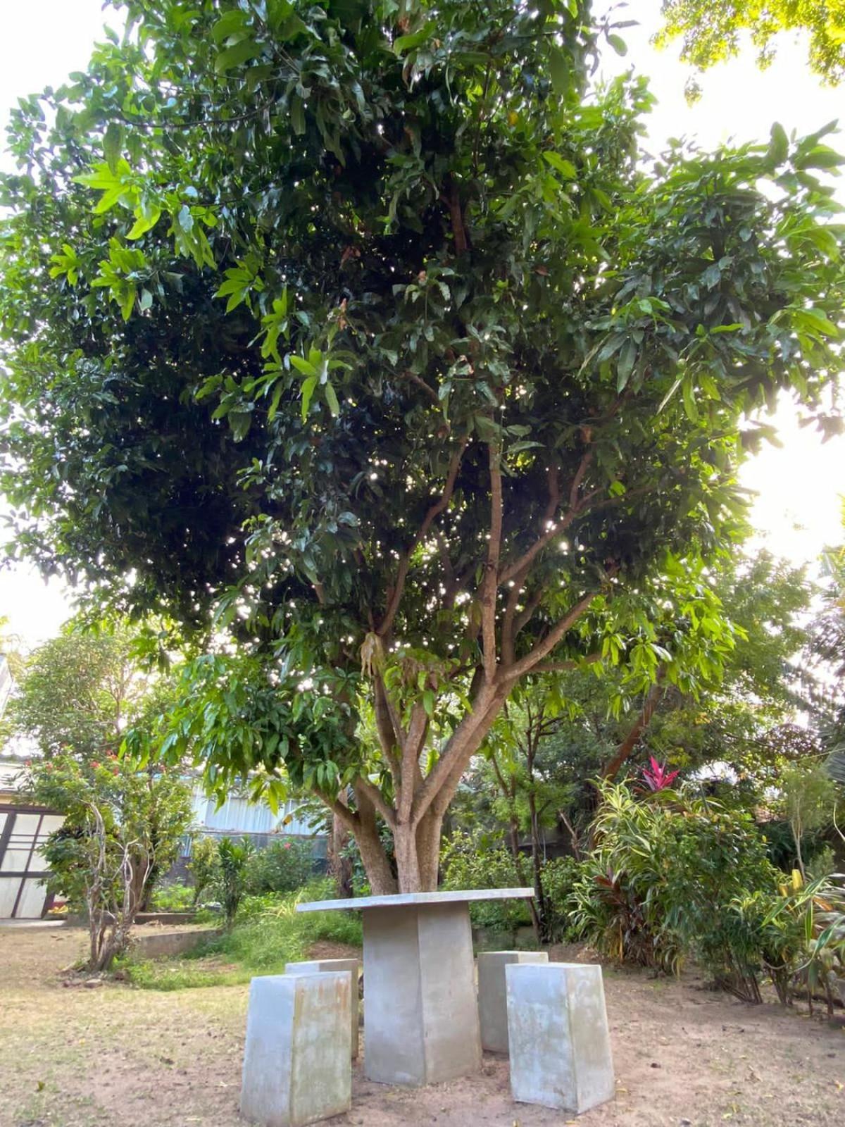Sujatha Villa Paradise Tangalle Kültér fotó